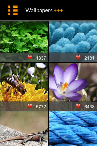 Premium Quality Wallpapers - náhled