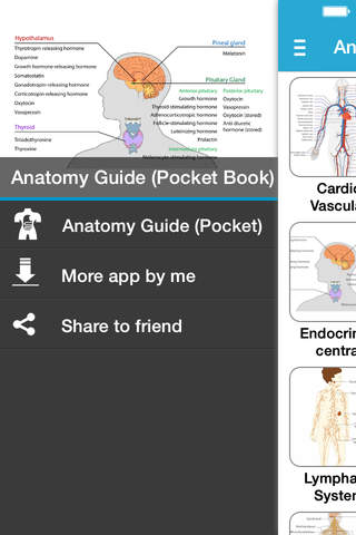 Anatomy Guide (Pocket Book) - náhled