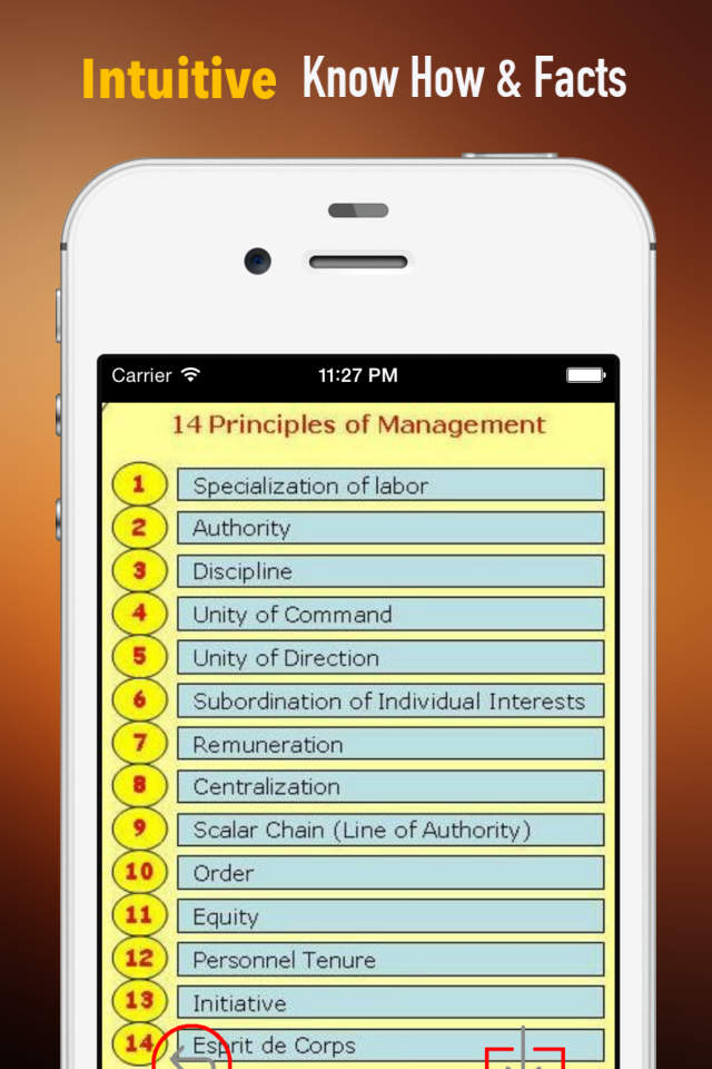 administrative theory by henri fayol: study guide with tutorial