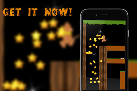 Honey Bear Run - náhled