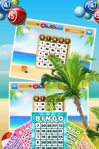 Bingo Golden - Born To Rich Bingo - náhled