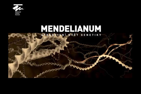 Mendelianum - atraktivní svět genetiky - náhled