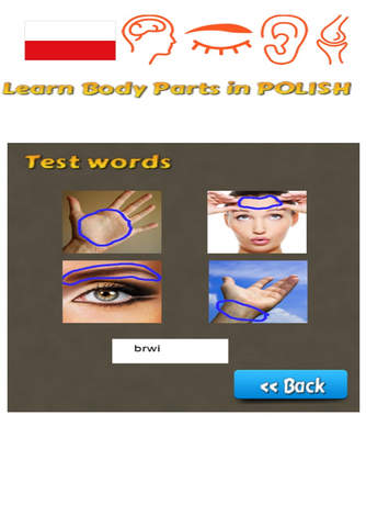Learn Body Parts in Polish - náhled