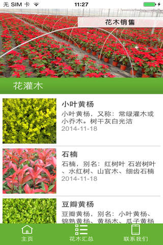花木销售网 - náhled
