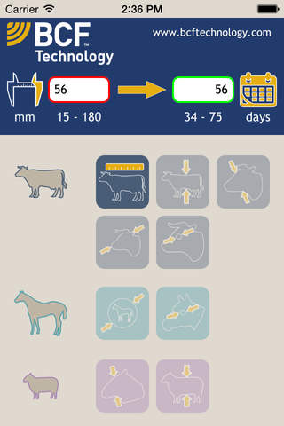 BCF Farm Animal - náhled