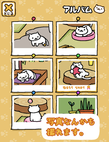 Neko Atsume: Kitty Collector screenshot 9