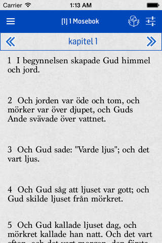 Swedish Bible - náhled