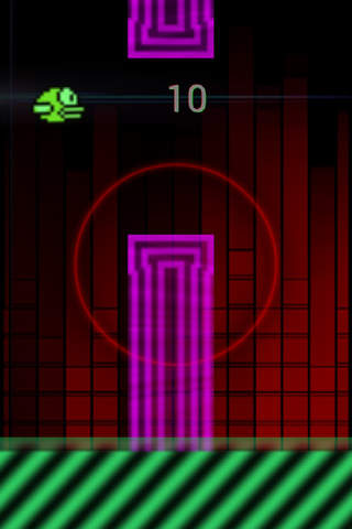 Dubstep Bird - náhled