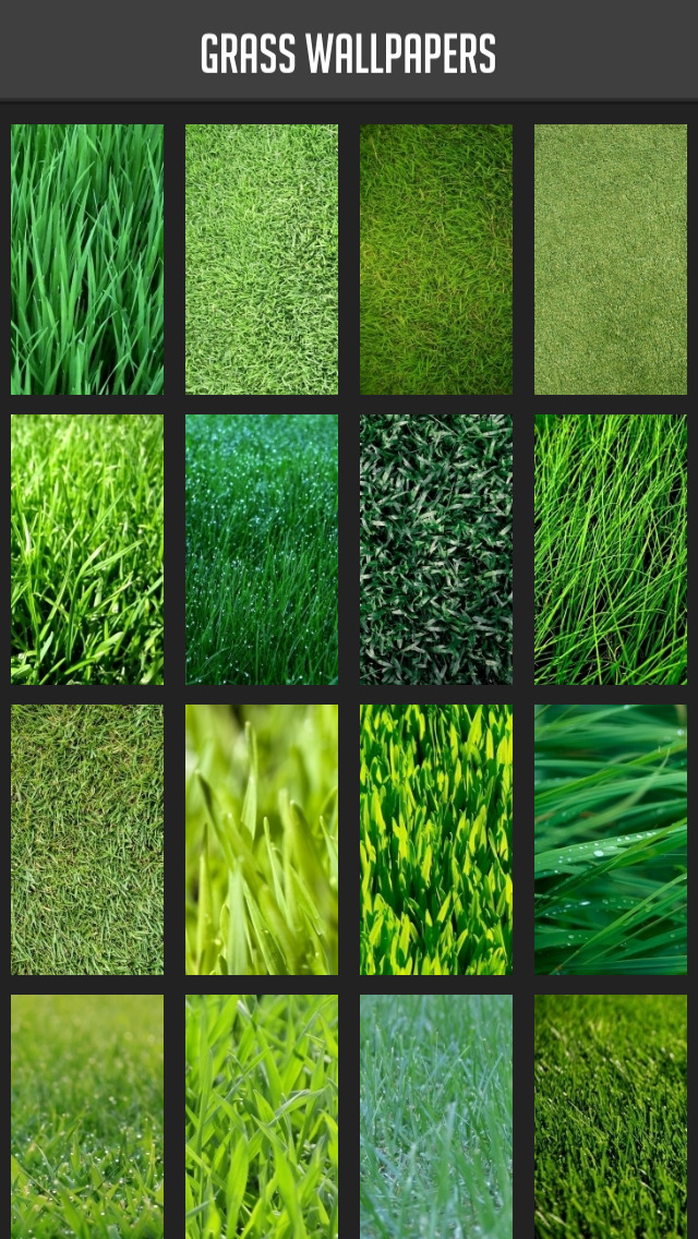 Grass Wallpapers screenshot 1