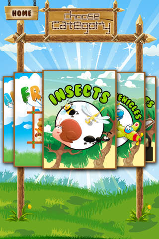 A Matching Game for Children: Learning with Bugs a - náhled
