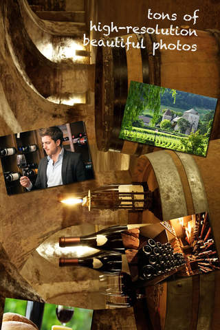 Burgundy Wines - náhled