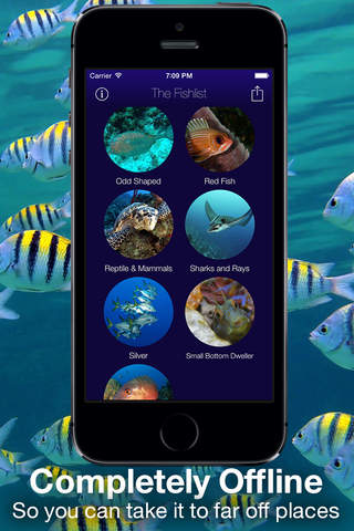 Fishlist: Caribbean - náhled