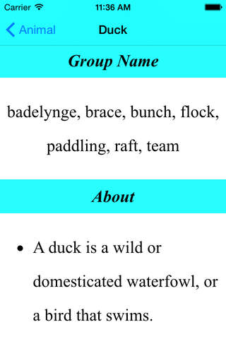 The Animal Book - náhled