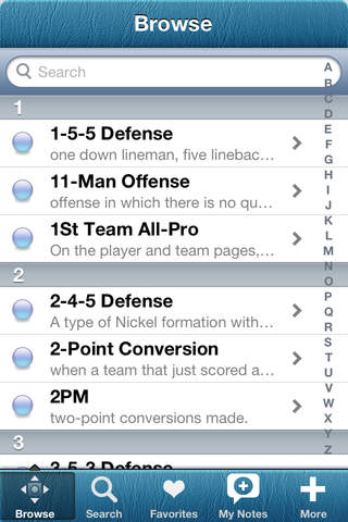 1,250 Football Terms & Plays with a Glossary and P - náhled