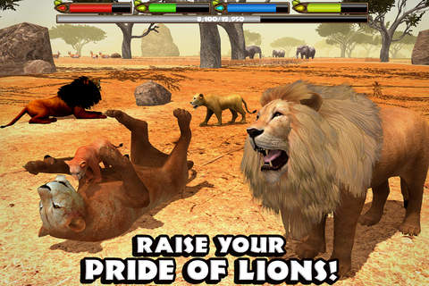 Ultimate Lion Simulator - náhled