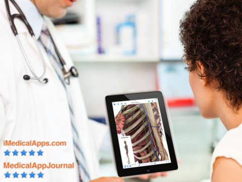 Pocket Anatomy - Interactive 3D Human Anatomy and Physiology. screenshot 9