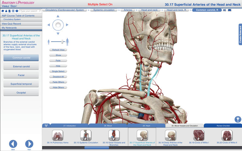 Anatomy & Physiology screenshot 1