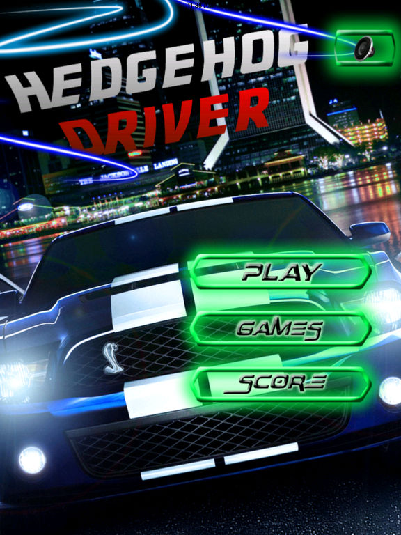 A Hedgehog Driver - Fun Airborne Car screenshot 6
